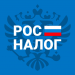 nalogi-po-inn-pasportu-i-dolgi.png